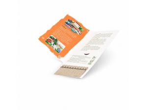 Flourish 10 Seed Stick Greeting Cards