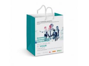 Promotional Paper Bags - Laminated Colour Printed (Medium)