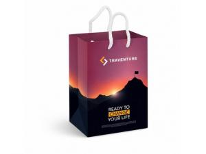 Promotional Laminated Colour Printed Paper Bags (Small)