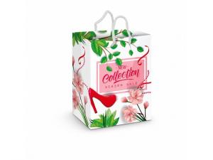 Paper Bags - Laminated Colour Printed (Large)