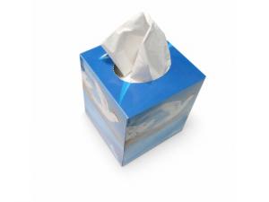 Promotional Square Recycled Tissue Boxes