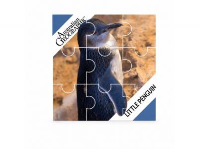 Magnetic Puzzles (95 x 95mm)