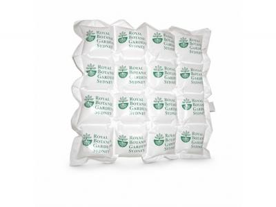 Inflatable Event Pillows